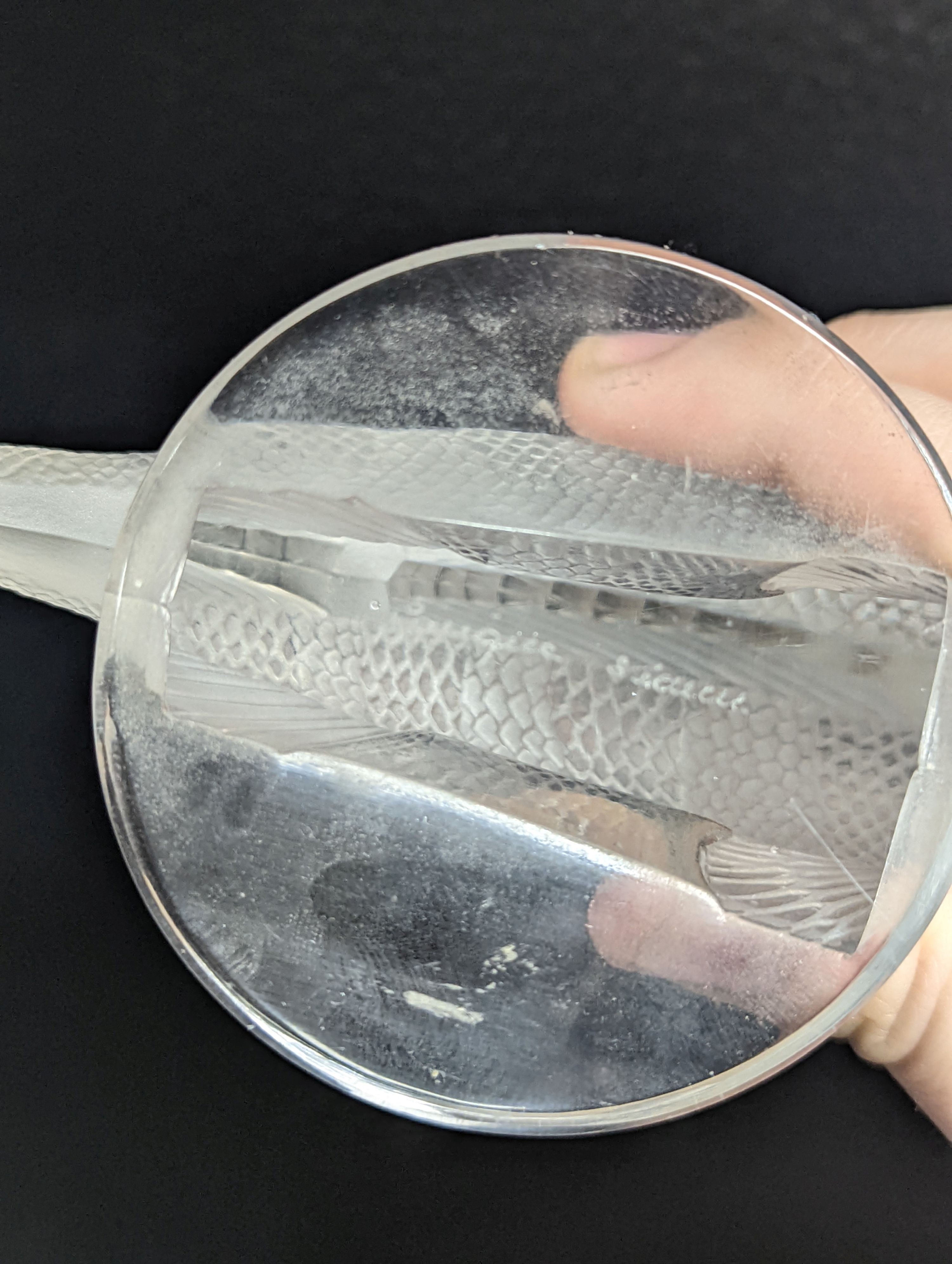 A Lalique clear and frosted glass Perche Poisson / Perch Fish car mascot, engraved mark Lalique France, 6cm long